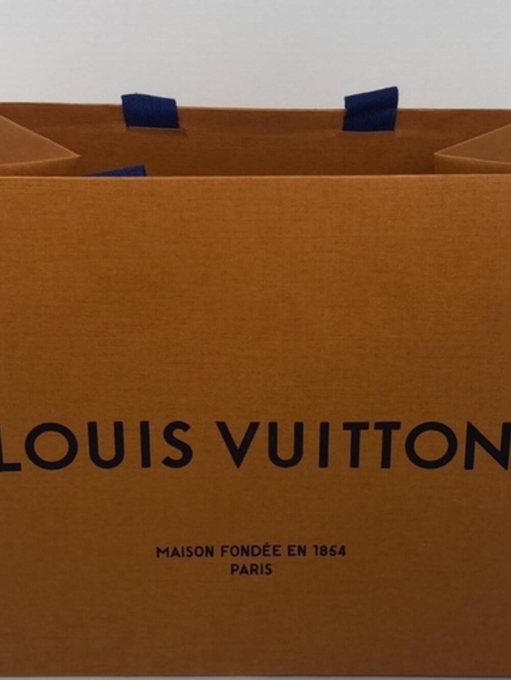Authentic Small Louis Vuitton Shopping Bag
